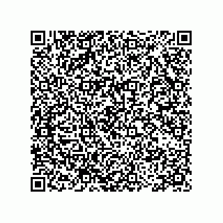 vCard 78115199253