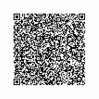 vCard 78115199295
