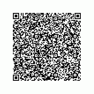 vCard 78115199300