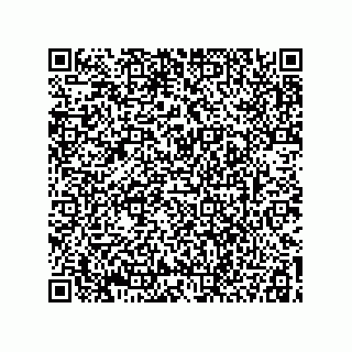 vCard 78115199308