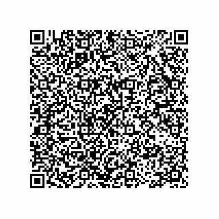 vCard 78115199310