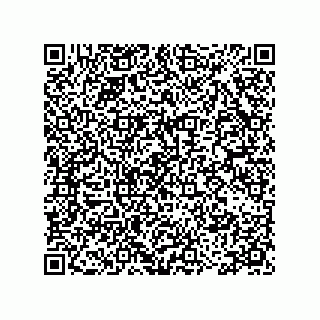 vCard 78115199311