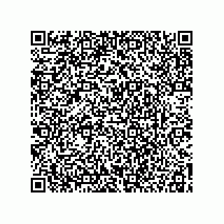 vCard 78115199325