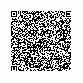 vCard 78115199331