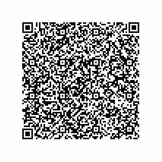 vCard 78115199335