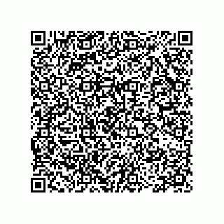 vCard 78115199380