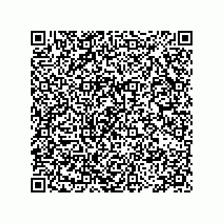 vCard 78115199381