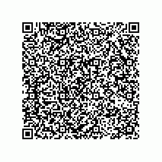 vCard 78115199382