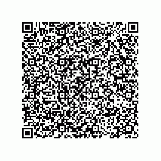 vCard 78115199384