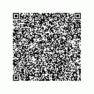 vCard 78115199389