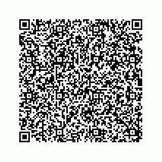 vCard 78115320100