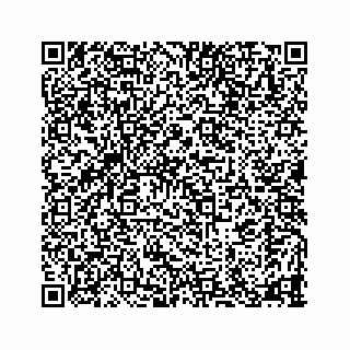vCard 78115320171