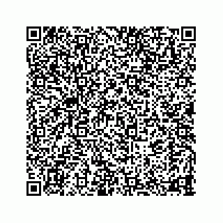 vCard 78115320281