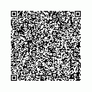 vCard 78115320381
