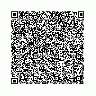 vCard 78115320387