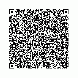 vCard 78115320411