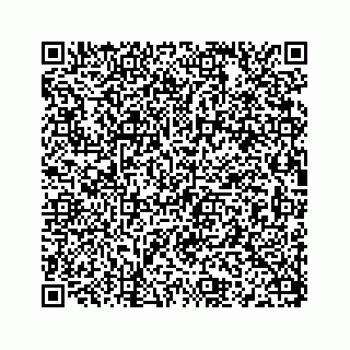 vCard 78115320481