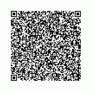 vCard 78115322541