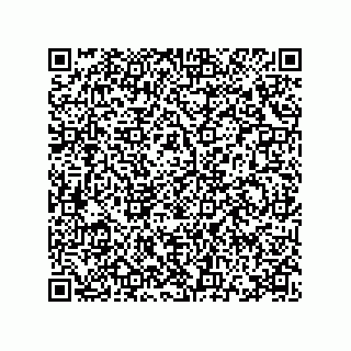 vCard 78115341000