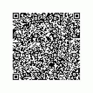 vCard 78115341041