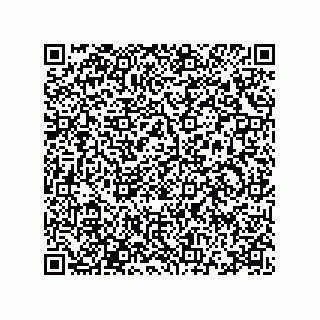 vCard 78115341065