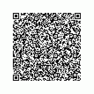 vCard 78115341331