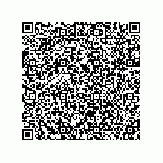 vCard 78115341384