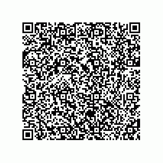 vCard 78115341509
