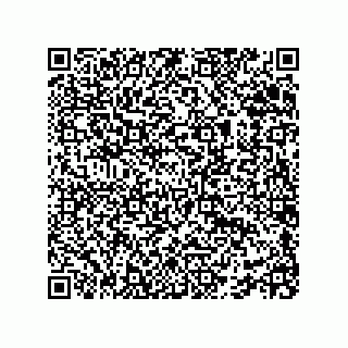 vCard 78115341513