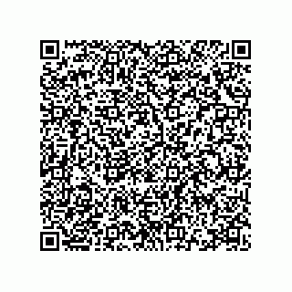 vCard 78115341530