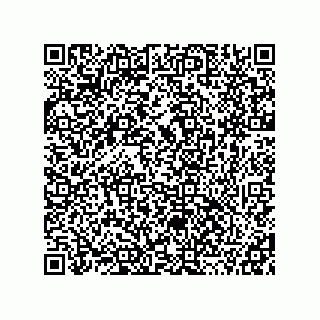 vCard 78115341540