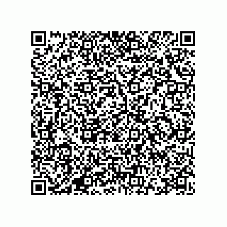 vCard 78115341599