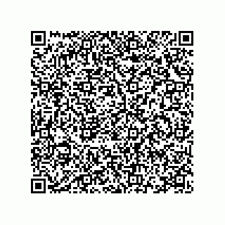 vCard 78115341613