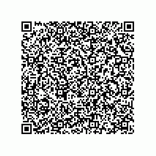 vCard 78115341631