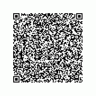 vCard 78115341713