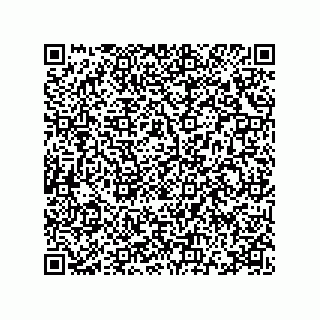 vCard 78115341740