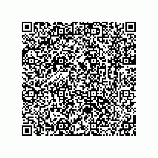 vCard 78115369037