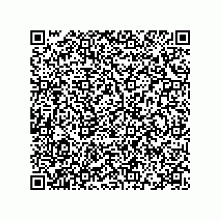 vCard 78115369040