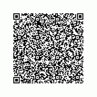vCard 78115369041
