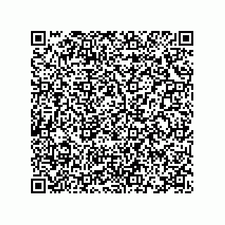 vCard 78115369100