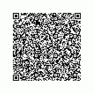 vCard 78115369101