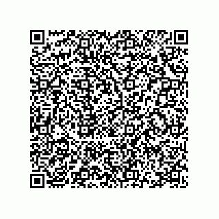 vCard 78115369113