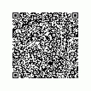 vCard 78115369173