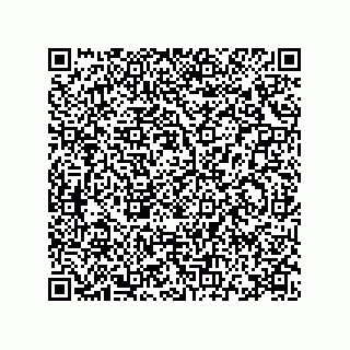 vCard 78115369221