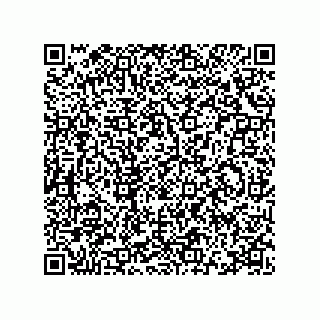 vCard 78115369281
