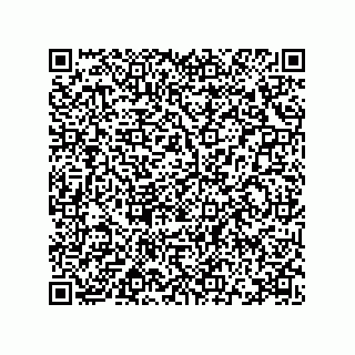 vCard 78115369300