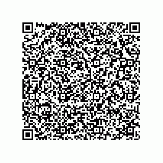 vCard 78115369313