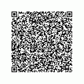 vCard 78115369381