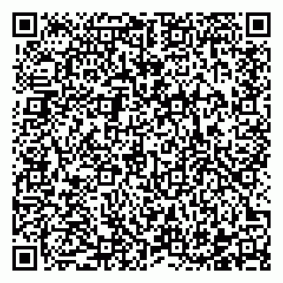 vCard 78122080001