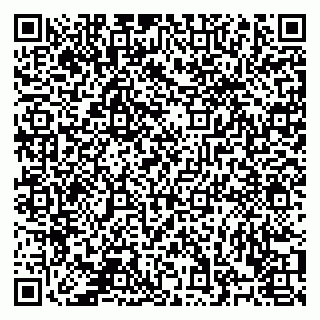 vCard 78122080002